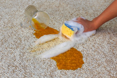 Sponge in scrubbing the baking soda deep beneath the carpet fibers.