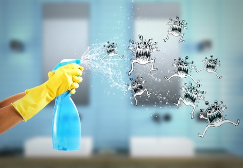 Can Professional Disinfection Service Keep Pests Away?