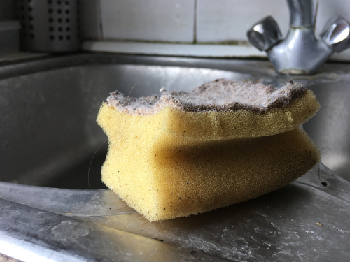 How Often Do You Need To Change Your Kitchen Sponge?